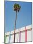 Palm Springs II-Bethany Young-Mounted Photographic Print