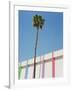 Palm Springs II-Bethany Young-Framed Photographic Print