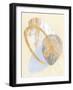 Palm Springs IV-Renée Stramel-Framed Art Print