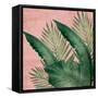 Palm Square 2-Kimberly Allen-Framed Stretched Canvas