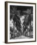 Palm Street-Adam Brock-Framed Giclee Print