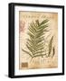 Palm Study I-Deborah Devellier-Framed Art Print