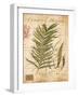 Palm Study I-Deborah Devellier-Framed Art Print