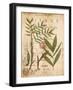 Palm Study II-Deborah Devellier-Framed Art Print