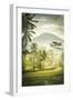 Palm Sunrise-Joseph Eta-Framed Giclee Print