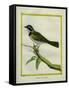 Palm Tanager-Georges-Louis Buffon-Framed Stretched Canvas