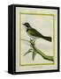 Palm Tanager-Georges-Louis Buffon-Framed Stretched Canvas