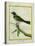 Palm Tanager-Georges-Louis Buffon-Stretched Canvas