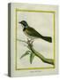 Palm Tanager-Georges-Louis Buffon-Stretched Canvas