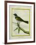 Palm Tanager-Georges-Louis Buffon-Framed Giclee Print