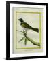 Palm Tanager-Georges-Louis Buffon-Framed Giclee Print