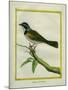 Palm Tanager-Georges-Louis Buffon-Mounted Giclee Print