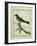 Palm Tanager-Georges-Louis Buffon-Framed Giclee Print