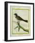 Palm Tanager-Georges-Louis Buffon-Framed Giclee Print