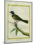 Palm Tanager-Georges-Louis Buffon-Mounted Giclee Print