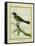 Palm Tanager-Georges-Louis Buffon-Framed Stretched Canvas