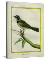 Palm Tanager-Georges-Louis Buffon-Stretched Canvas