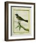 Palm Tanager-Georges-Louis Buffon-Framed Giclee Print