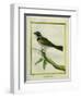 Palm Tanager-Georges-Louis Buffon-Framed Giclee Print