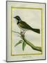 Palm Tanager-Georges-Louis Buffon-Mounted Giclee Print