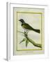 Palm Tanager-Georges-Louis Buffon-Framed Giclee Print