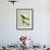 Palm Tanager-Georges-Louis Buffon-Framed Giclee Print displayed on a wall