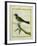 Palm Tanager-Georges-Louis Buffon-Framed Giclee Print