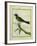 Palm Tanager-Georges-Louis Buffon-Framed Giclee Print