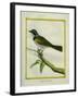 Palm Tanager-Georges-Louis Buffon-Framed Giclee Print