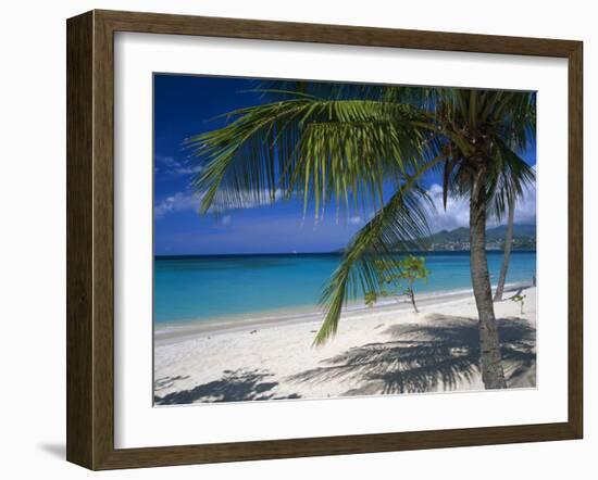 Palm Tee and Beach, Grand Anse Beach, Grenada, Windward Islands, Caribbean, West Indies-John Miller-Framed Photographic Print