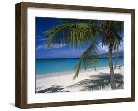 Palm Tee and Beach, Grand Anse Beach, Grenada, Windward Islands, Caribbean, West Indies-John Miller-Framed Photographic Print