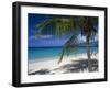 Palm Tee and Beach, Grand Anse Beach, Grenada, Windward Islands, Caribbean, West Indies-John Miller-Framed Photographic Print