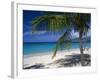 Palm Tee and Beach, Grand Anse Beach, Grenada, Windward Islands, Caribbean, West Indies-John Miller-Framed Photographic Print