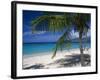 Palm Tee and Beach, Grand Anse Beach, Grenada, Windward Islands, Caribbean, West Indies-John Miller-Framed Photographic Print