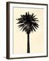 Palm Tree 1979 Tan-Erik Asla-Framed Photographic Print