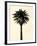 Palm Tree 1979 Tan-Erik Asla-Framed Photographic Print