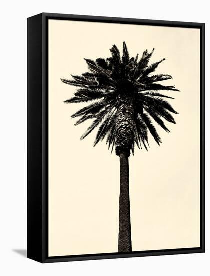 Palm Tree 1979 Tan-Erik Asla-Framed Stretched Canvas
