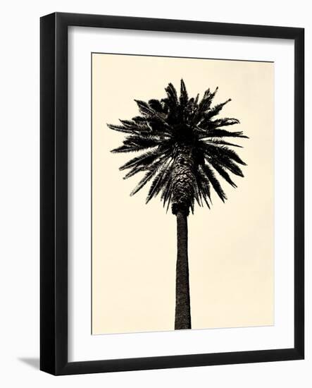 Palm Tree 1979 Tan-Erik Asla-Framed Photographic Print