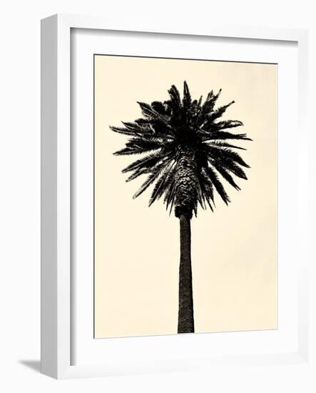 Palm Tree 1979 Tan-Erik Asla-Framed Photographic Print