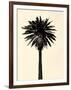 Palm Tree 1979 Tan-Erik Asla-Framed Photographic Print