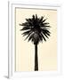 Palm Tree 1979 Tan-Erik Asla-Framed Photographic Print