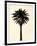 Palm Tree 1979 Tan-Erik Asla-Framed Photographic Print