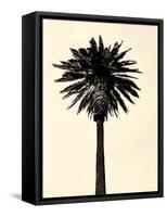 Palm Tree 1979 Tan-Erik Asla-Framed Stretched Canvas