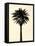 Palm Tree 1979 Tan-Erik Asla-Framed Stretched Canvas