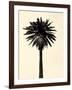 Palm Tree 1979 Tan-Erik Asla-Framed Photographic Print