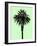 Palm Tree 1996 (Green)-Erik Asla-Framed Photographic Print