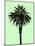 Palm Tree 1996 (Green)-Erik Asla-Mounted Photographic Print