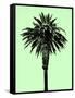 Palm Tree 1996 (Green)-Erik Asla-Framed Stretched Canvas