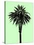 Palm Tree 1996 (Green)-Erik Asla-Stretched Canvas