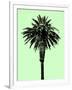 Palm Tree 1996 (Green)-Erik Asla-Framed Photographic Print